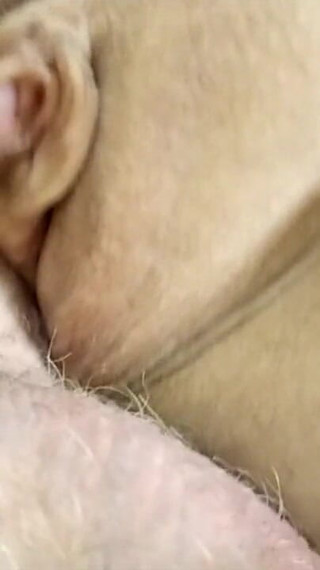 Aimee Hot MILF Is the Best Mature Bitch on the Web.!