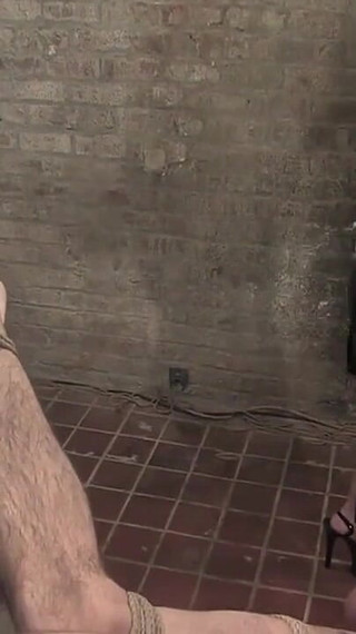 Put My Face in Your Ass