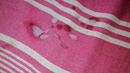 Indian Beautiful Girl Big Hairy Boobs Pussy Licking Fucking