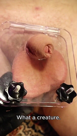 His Useless Cock Smashed, Orgasm Denied CBT - Mistress Julia