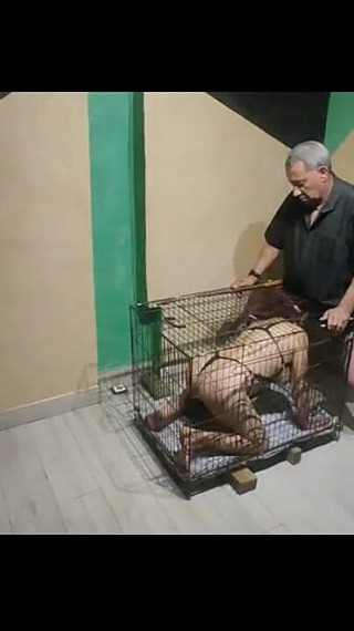 Put in the Cage to Breastfeed