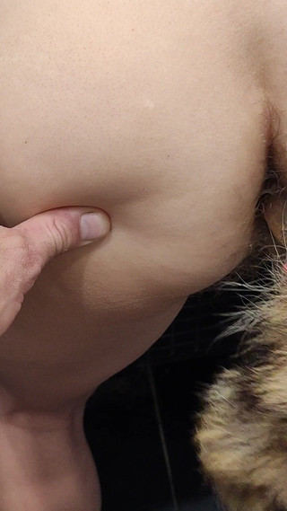 Double Penetration with Anal Tail and Dick in Pussy