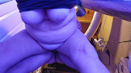 Taken From Behind in the Grow