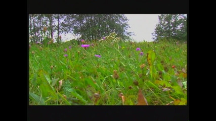 Erotic Fairy Tales - Chapter #03