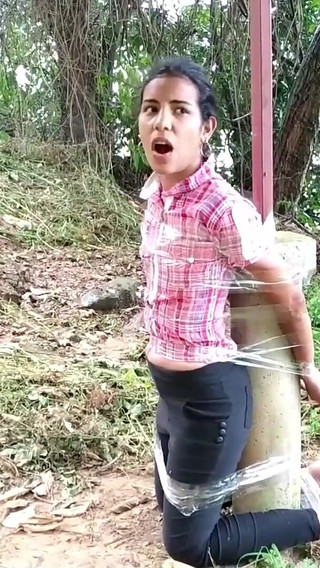 Nancy Drew's Outdoor Bondage Adventure