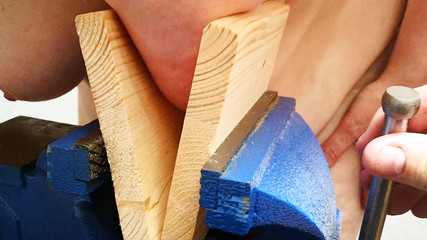 Tit squeezing in vice