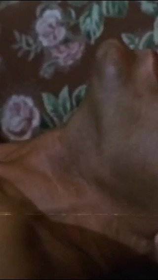 Beyond the Boundaries of Sex