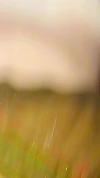 Indian Panjabi Girl Was Fucked by Her Stepbrother, Indian Desi Girl Janvi Bhabhi Sex