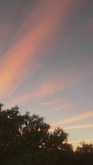 Student Fucks School Principal and Gives Her a Nice Cream Pie