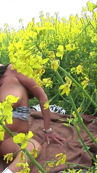 Nasty Nancy anally fucked in the nature